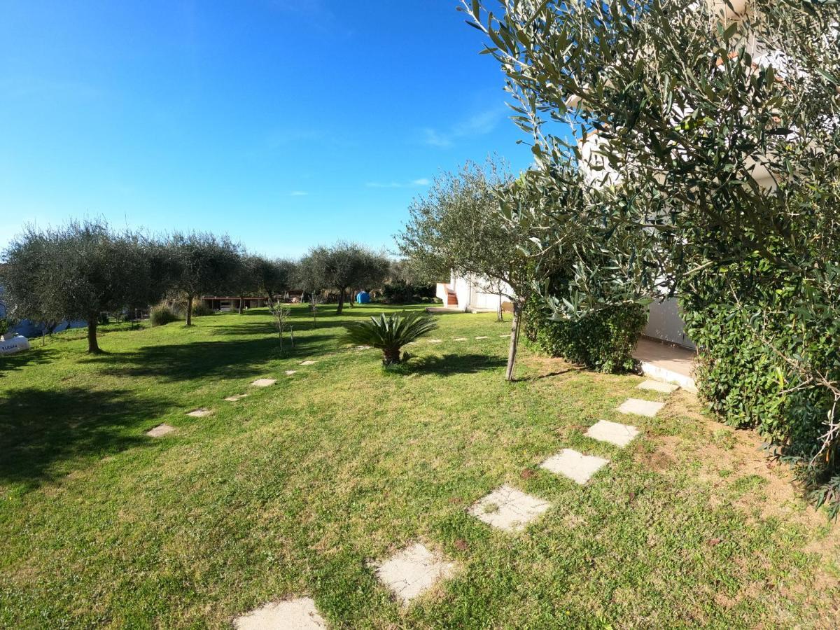 Agriturismo Seaview كابو فاتيكانو المظهر الخارجي الصورة